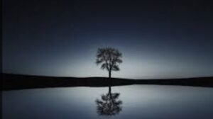 Pause & Reflect