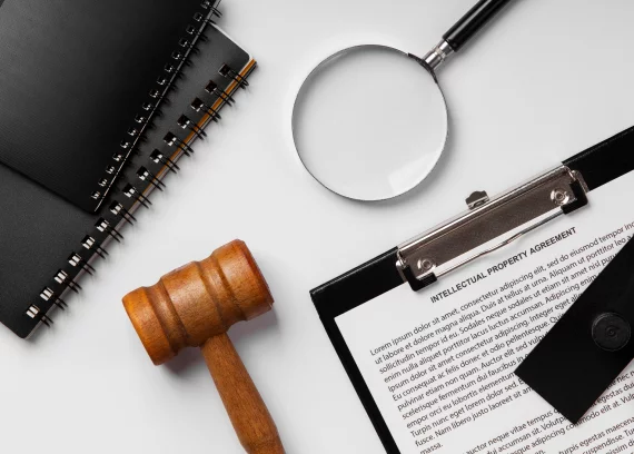 Criminal Litigation